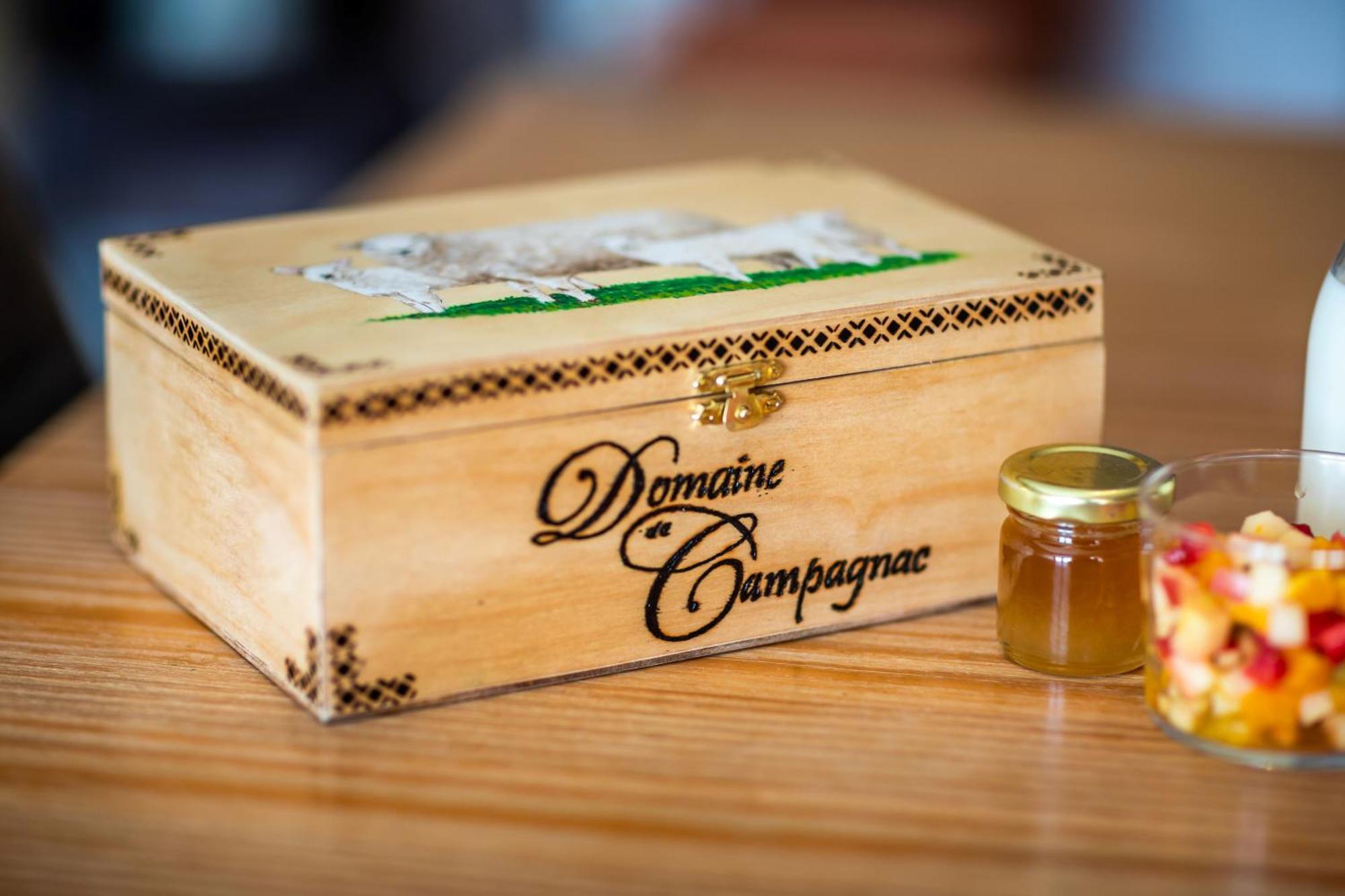 Domaine De Campagnac - Spa & Sauna Carsac-Aillac Екстер'єр фото